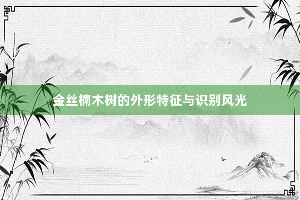 金丝楠木树的外形特征与识别风光